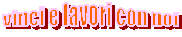 vinci e lavori con noi